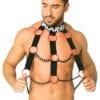 gay fashion harness