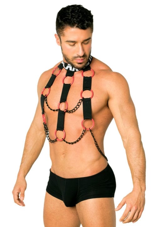 gay black harness