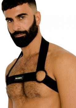 gay harness