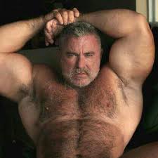 Bears Gays